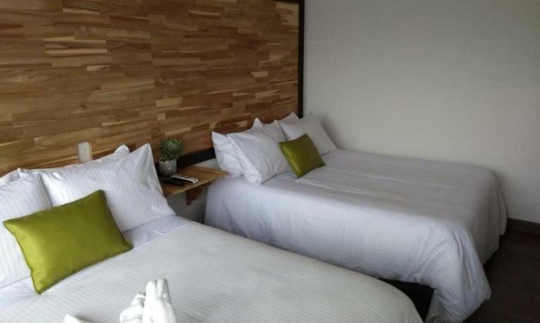 Sisga Hotel Boutique Choconta 외부 사진